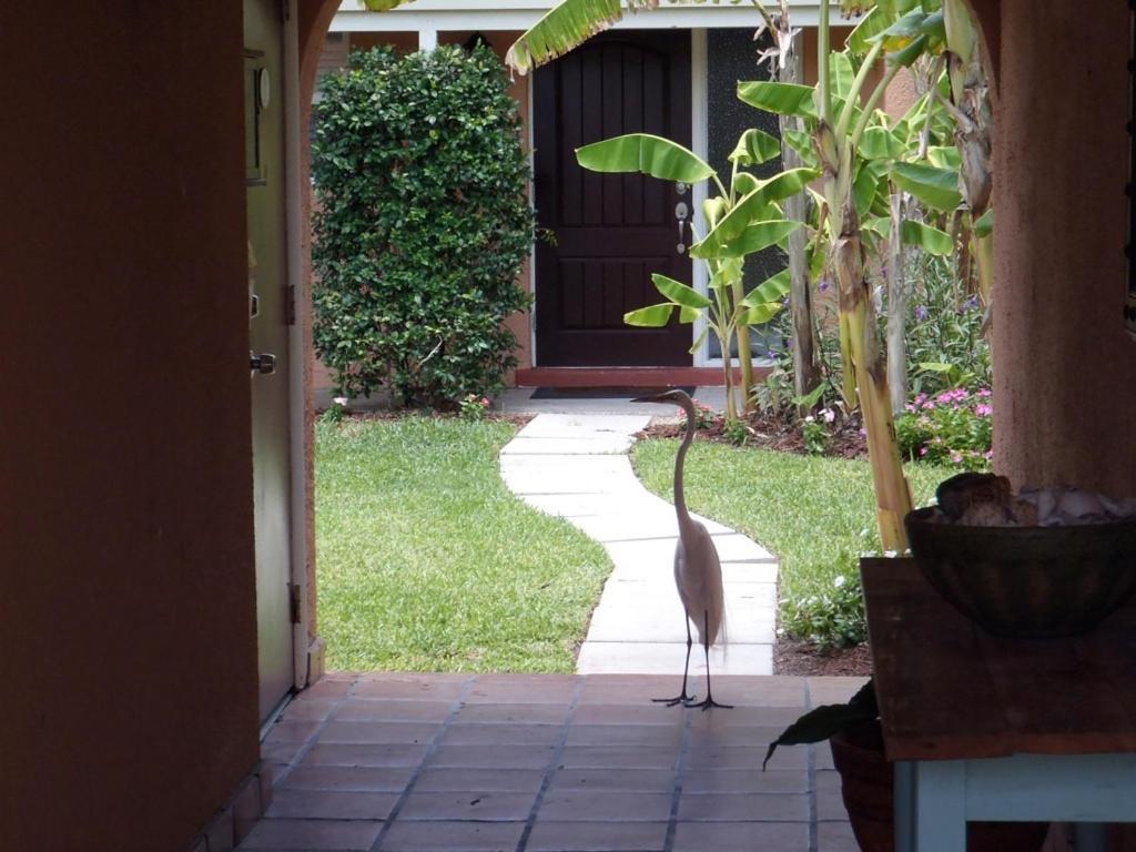 Beach Road Villas Sanibel Esterno foto